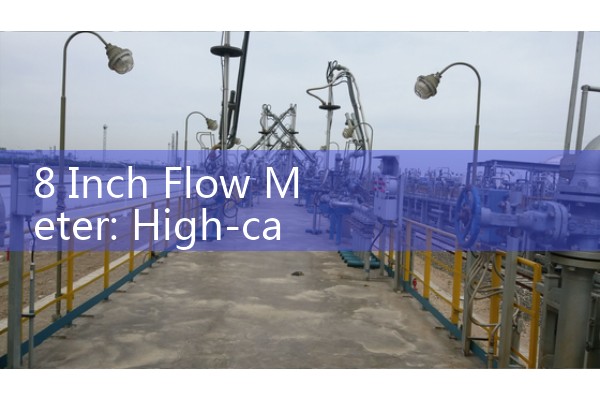 8 Inch Flow Meter: High-capacity municipal infrastructure main distributing lines.